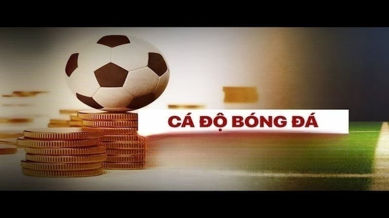 kinh nghiệm chơi cá độ bóng đá kinh nghiệm chơi cá độ bóng đá