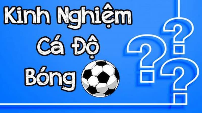 kinh nghiệm chơi cá độ bóng đá kinh nghiệm chơi cá độ bóng đá