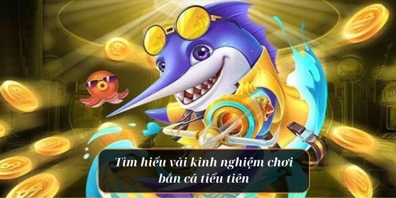 Bắn Cá Tiểu Tiên NN88 - Hạ Gục Tiên Cá, Kiếm Tiền Cực Dễ 4 Bỏ túi các kinh nghiệm để bắn phát ăn ngay